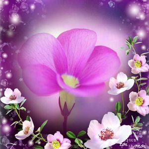 Meet your Posher, Mandana